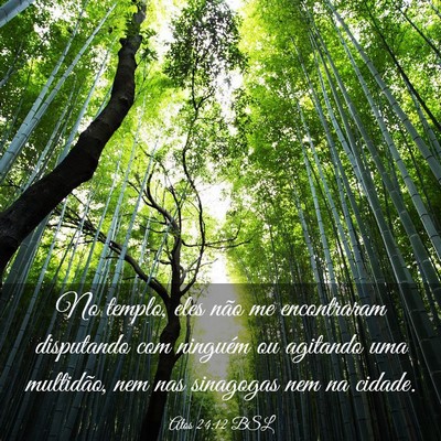 Picture 03 - Atos 24:12 BSL - No templo, eles não me encontraram disputando - Bible Verse Picture