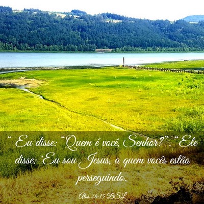 Picture 03 - Atos 26:15 BSL - “ Eu disse: “Quem é você, Senhor?”. - Bible Verse Picture