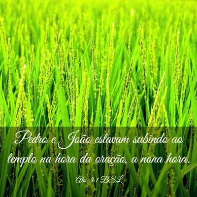 Picture 03 - Atos 3:1 BSL - Pedro e João estavam subindo ao templo na hora - Bible Verse Picture