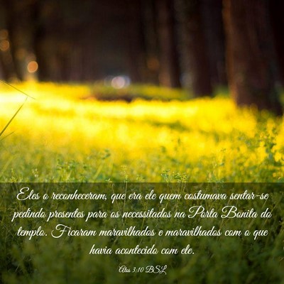 Picture 03 - Atos 3:10 BSL - Eles o reconheceram, que era ele quem costumava - Bible Verse Picture
