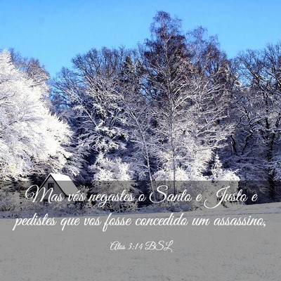 Picture 03 - Atos 3:14 BSL - Mas vós negastes o Santo e Justo e pedistes que - Bible Verse Picture