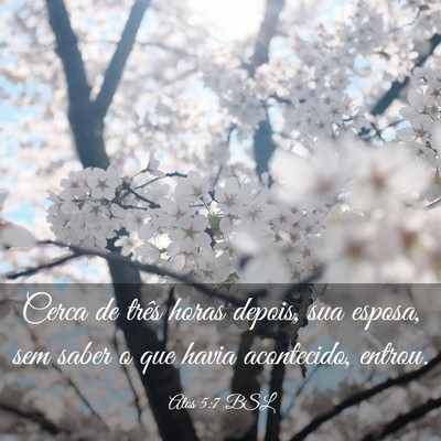 Picture 03 - Atos 5:7 BSL - Cerca de três horas depois, sua esposa, sem - Bible Verse Picture