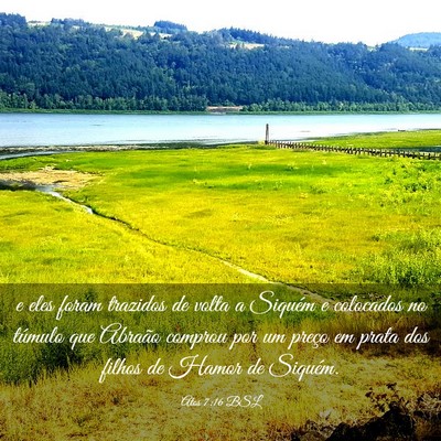 Picture 03 - Atos 7:16 BSL - e eles foram trazidos de volta a Siquém e - Bible Verse Picture