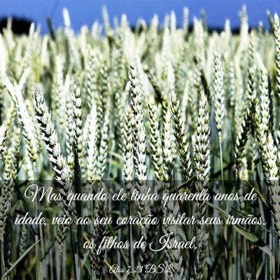 Picture 03 - Atos 7:23 BSL - Mas quando ele tinha quarenta anos de idade, veio - Bible Verse Picture