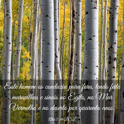 Picture 03 - Atos 7:36 BSL - Este homem os conduziu para fora, tendo feito - Bible Verse Picture