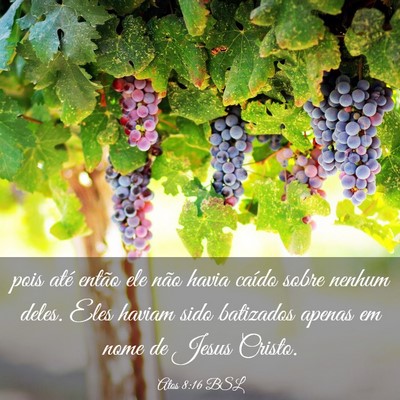 Picture 03 - Atos 8:16 BSL - pois até então ele não havia caído sobre - Bible Verse Picture