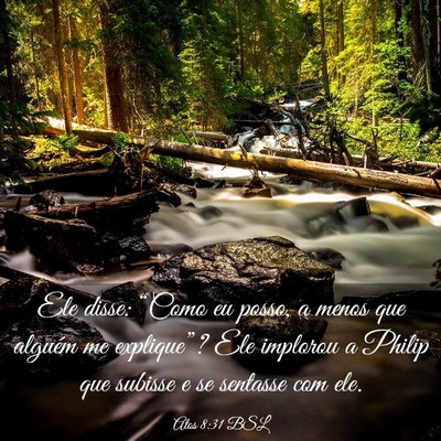 Picture 03 - Atos 8:31 BSL - Ele disse: “Como eu posso, a menos que alguém - Bible Verse Picture