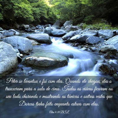 Picture 03 - Atos 9:39 BSL - Peter se levantou e foi com eles. Quando ele - Bible Verse Picture