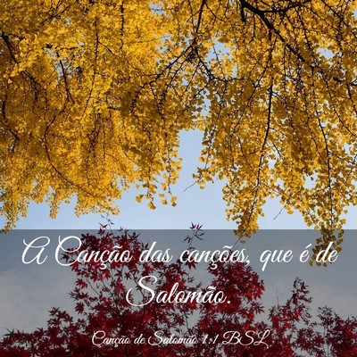 Picture 03 - Canção de Salomão 1:1 BSL - A Canção das canções, que é de - Bible Verse Picture