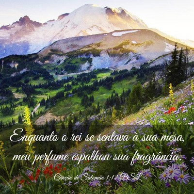 Picture 03 - Canção de Salomão 1:12 BSL - Enquanto o rei se sentava à sua mesa, meu - Bible Verse Picture