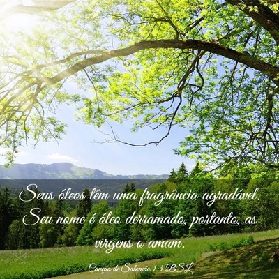 Picture 03 - Canção de Salomão 1:3 BSL - Seus óleos têm uma fragrância agradável. Seu - Bible Verse Picture