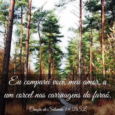 Picture 03 - Canção de Salomão 1:9 BSL - Eu comparei você, meu amor, a um corcel nas - Bible Verse Picture