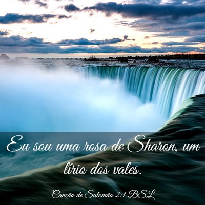 Picture 03 - Canção de Salomão 2:1 BSL - Eu sou uma rosa de Sharon, um lírio dos - Bible Verse Picture