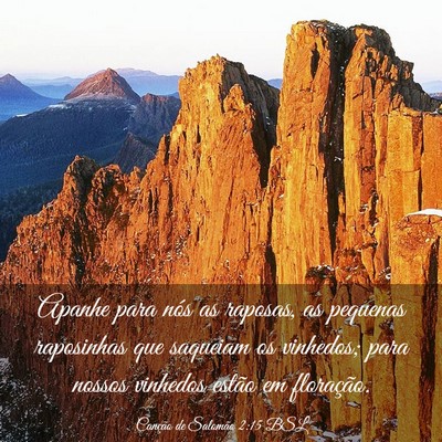 Picture 03 - Canção de Salomão 2:15 BSL - Apanhe para nós as raposas, as pequenas - Bible Verse Picture