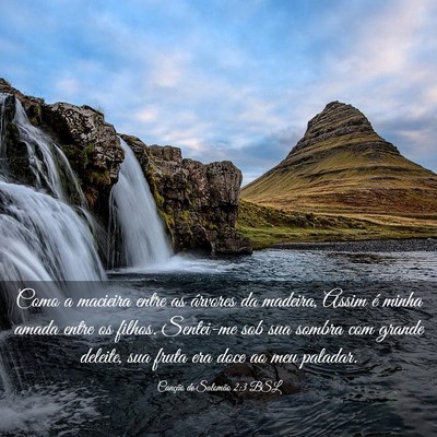 Picture 03 - Canção de Salomão 2:3 BSL - Como a macieira entre as árvores da madeira, - Bible Verse Picture