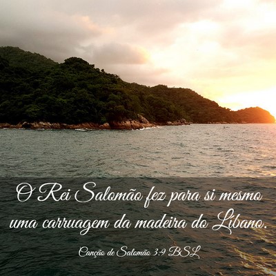 Picture 03 - Canção de Salomão 3:9 BSL - O Rei Salomão fez para si mesmo uma carruagem da - Bible Verse Picture