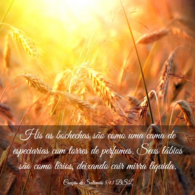 Picture 03 - Canção de Salomão 5:13 BSL - His as bochechas são como uma cama de - Bible Verse Picture