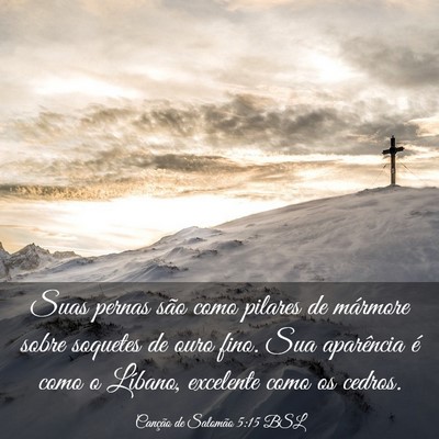 Picture 03 - Canção de Salomão 5:15 BSL - Suas pernas são como pilares de mármore sobre - Bible Verse Picture