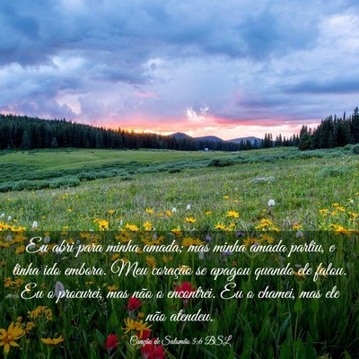 Picture 03 - Canção de Salomão 5:6 BSL - Eu abri para minha amada; mas minha amada partiu, - Bible Verse Picture