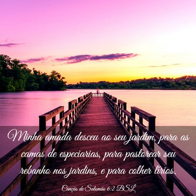 Picture 03 - Canção de Salomão 6:2 BSL - Minha amada desceu ao seu jardim, para as camas - Bible Verse Picture