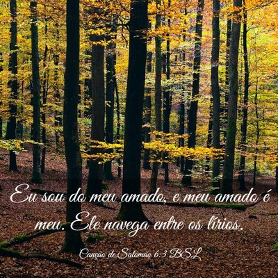 Picture 03 - Canção de Salomão 6:3 BSL - Eu sou do meu amado, e meu amado é meu. Ele - Bible Verse Picture