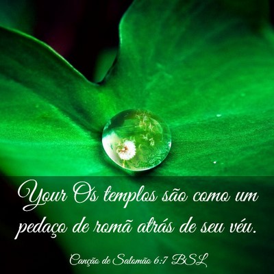 Picture 03 - Canção de Salomão 6:7 BSL - Your Os templos são como um pedaço de romã - Bible Verse Picture