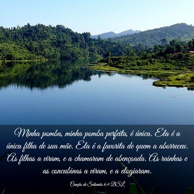 Picture 03 - Canção de Salomão 6:9 BSL - Minha pomba, minha pomba perfeita, é única. Ela - Bible Verse Picture