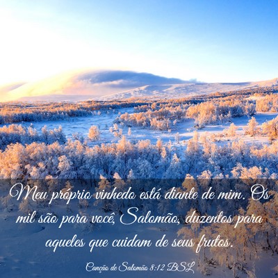 Picture 03 - Canção de Salomão 8:12 BSL - Meu próprio vinhedo está diante de mim. Os mil - Bible Verse Picture