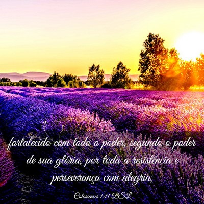 Picture 03 - Colossenses 1:11 BSL - fortalecido com todo o poder, segundo o poder de - Bible Verse Picture