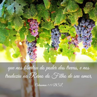 Picture 03 - Colossenses 1:13 BSL - que nos libertou do poder das trevas, e nos - Bible Verse Picture