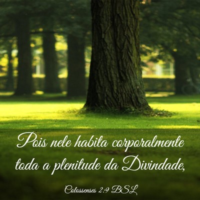 Picture 03 - Colossenses 2:9 BSL - Pois nele habita corporalmente toda a plenitude - Bible Verse Picture