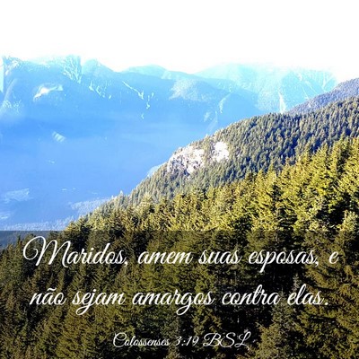 Picture 03 - Colossenses 3:19 BSL - Maridos, amem suas esposas, e não sejam amargos - Bible Verse Picture