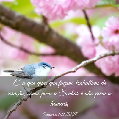 Picture 03 - Colossenses 3:23 BSL - E o que quer que façam, trabalhem de coração, - Bible Verse Picture