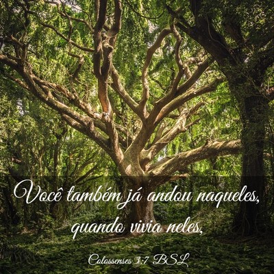 Picture 03 - Colossenses 3:7 BSL - Você também já andou naqueles, quando vivia - Bible Verse Picture
