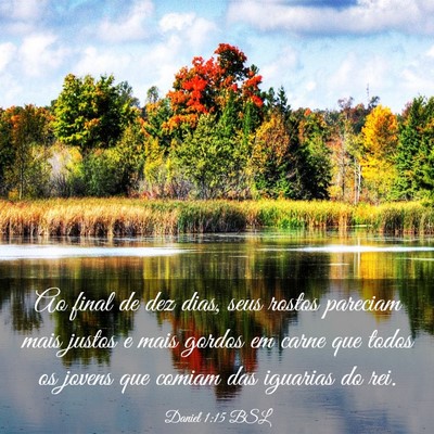 Picture 03 - Daniel 1:15 BSL - Ao final de dez dias, seus rostos pareciam mais - Bible Verse Picture