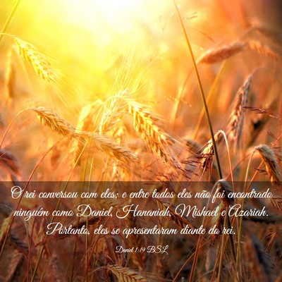 Picture 03 - Daniel 1:19 BSL - O rei conversou com eles; e entre todos eles não - Bible Verse Picture