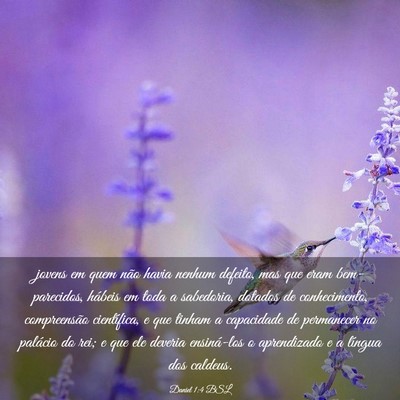 Picture 03 - Daniel 1:4 BSL - jovens em quem não havia nenhum defeito, mas que - Bible Verse Picture
