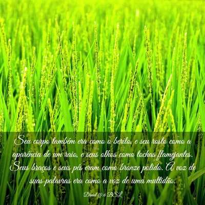 Picture 03 - Daniel 10:6 BSL - Seu corpo também era como o berilo, e seu rosto - Bible Verse Picture
