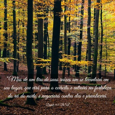 Picture 03 - Daniel 11:7 BSL - “Mas de um tiro de suas raízes um se - Bible Verse Picture