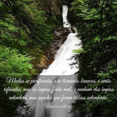 Picture 03 - Daniel 12:10 BSL - Muitos se purificarão, e se tornarão brancos, e - Bible Verse Picture