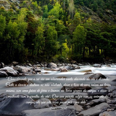 Picture 03 - Daniel 4:23 BSL - “Considerando que o rei viu um observador santo - Bible Verse Picture