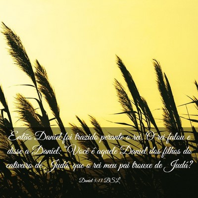 Picture 03 - Daniel 5:13 BSL - Então Daniel foi trazido perante o rei. O rei - Bible Verse Picture