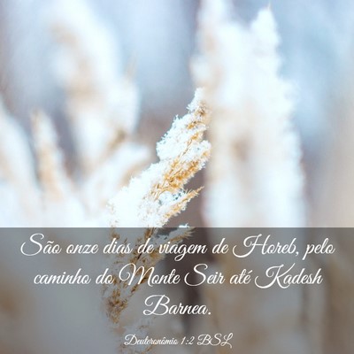 Picture 03 - Deuteronômio 1:2 BSL - São onze dias de viagem de Horeb, pelo caminho - Bible Verse Picture