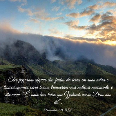 Picture 03 - Deuteronômio 1:25 BSL - Eles pegaram alguns dos frutos da terra em suas - Bible Verse Picture