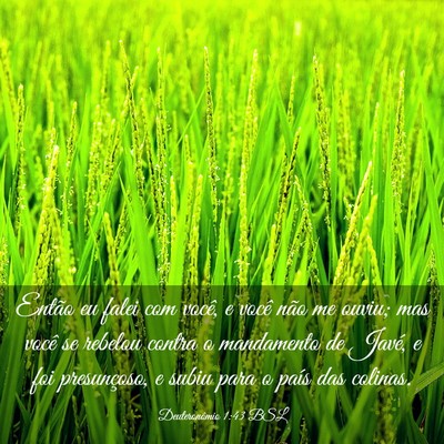 Picture 03 - Deuteronômio 1:43 BSL - Então eu falei com você, e você não me ouviu; - Bible Verse Picture