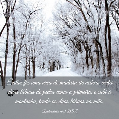 Picture 03 - Deuteronômio 10:3 BSL - Então fiz uma arca de madeira de acácia, cortei - Bible Verse Picture
