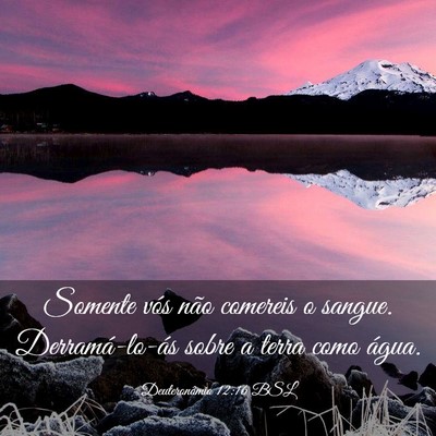 Picture 03 - Deuteronômio 12:16 BSL - Somente vós não comereis o sangue. - Bible Verse Picture