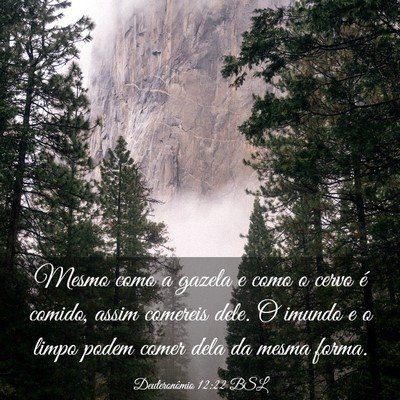 Picture 03 - Deuteronômio 12:22 BSL - Mesmo como a gazela e como o cervo é comido, - Bible Verse Picture
