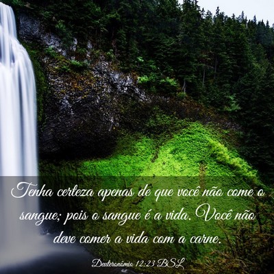 Picture 03 - Deuteronômio 12:23 BSL - Tenha certeza apenas de que você não come o - Bible Verse Picture
