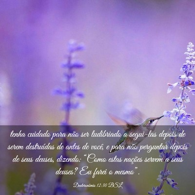 Picture 03 - Deuteronômio 12:30 BSL - tenha cuidado para não ser ludibriado a - Bible Verse Picture